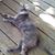 Penny Smith's profile image