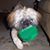 Tracy Downing Padilla's profile image