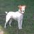 Jacky Hepburn's profile image