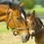 Cynthia D. Kaylor-Salter's profile image