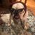 Michele Self's profile image