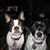 MaryAnn Smith's profile image