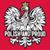 Timothy Kleszynski's profile image
