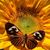 Beth Hannah's profile image