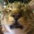 Rhonda Walters Gill's profile image