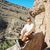 Sandra Lara's profile image