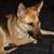 Sharon Lyon-Paul's profile image