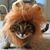 Chris McClatchey's profile image