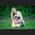 Hannah Roy's profile image