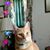 Katie Jones's profile image
