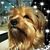 Cynda Haynes-Hale's profile image