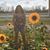 Ximena Zuniga's profile image
