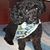Charletta Horne-Tanner's profile image