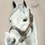 Eduardo E Ibarra G's profile image