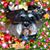 Susan Davison's profile image