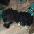 Sheila Eddy's profile image