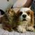 Nancy Warren Drish Earnest's profile image