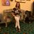 Sara Gonzalez's profile image
