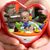 Donna Westphal's profile image