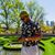 Trejon M. Khalil's profile image