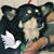 Lyn Reed's profile image
