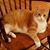 Connie Jacobs's profile image