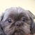 Dennis Vanderiest's profile image