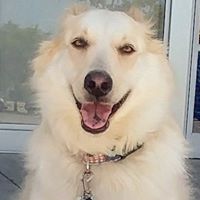 Jennifer Ware Russell's profile image