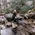 D Leigh Sasser's profile image