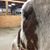 Deb Ries's profile image