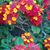 Aponi LeAnn's profile image