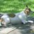 Sandra Millward's profile image
