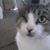 Beckie Bowling's profile image