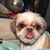 Laura Fancett-Stooks's profile image