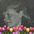 Elizabeth Abrams's profile image
