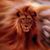 Kathy Crowell's profile image