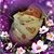 Candy-Paul Blanchflower's profile image