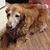 Sharon Gogerty's profile image