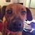 Jennifer Murphy's profile image