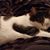 Jean Roszell Bedel's profile image