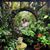 Svetlana Sogolova's profile image