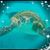 Steffen Titius's profile image