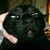 Tracy Summers Toepfer's profile image