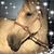 Kristina Palmer's profile image
