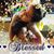 Daniella Dearn Fernandez's profile image
