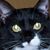 Chris Robertson's profile image