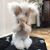 Russellmichelle Mcmahan's profile image