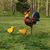 Kay Schmidt Reed's profile image