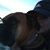 Lisa Schlegel's profile image