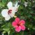 Pam Warren-Aguiar's profile image